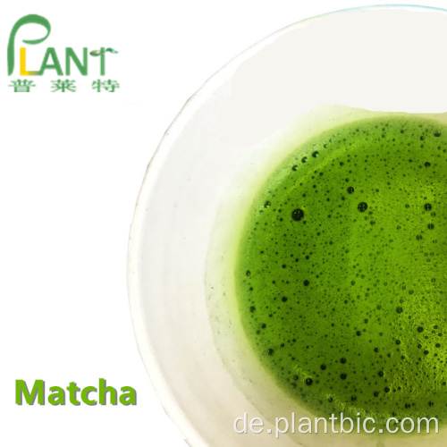 Matcha Grüntee Pulver aus kontrolliert biologischem Anbau